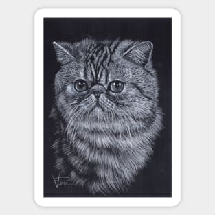 Exotic Cat Sticker